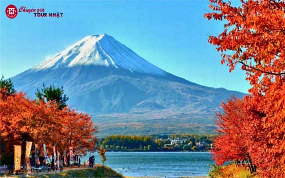 Tour Nhật Bản Hành Trình Vàng Mùa Thu 6N5Đ